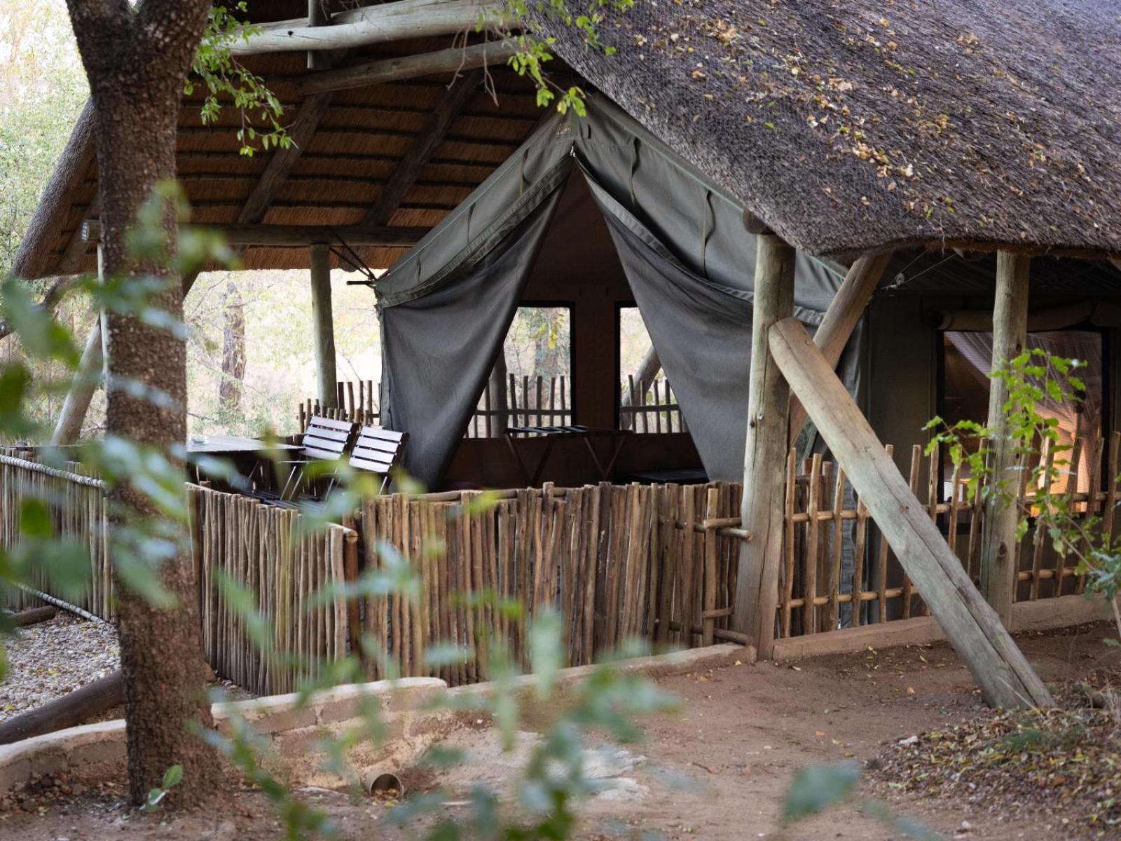 Kwambili Game Lodge Καταφύγιο Άγριας Ζωής Thornybush Εξωτερικό φωτογραφία
