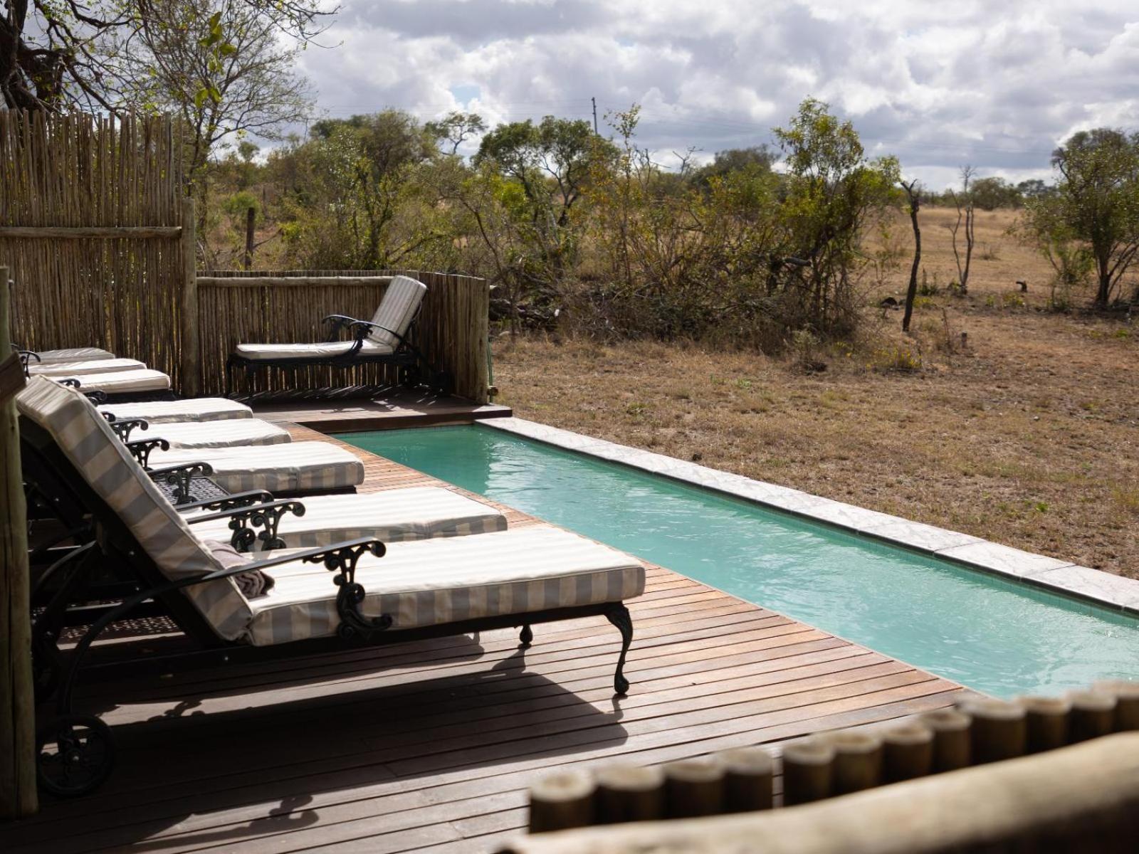 Kwambili Game Lodge Καταφύγιο Άγριας Ζωής Thornybush Εξωτερικό φωτογραφία