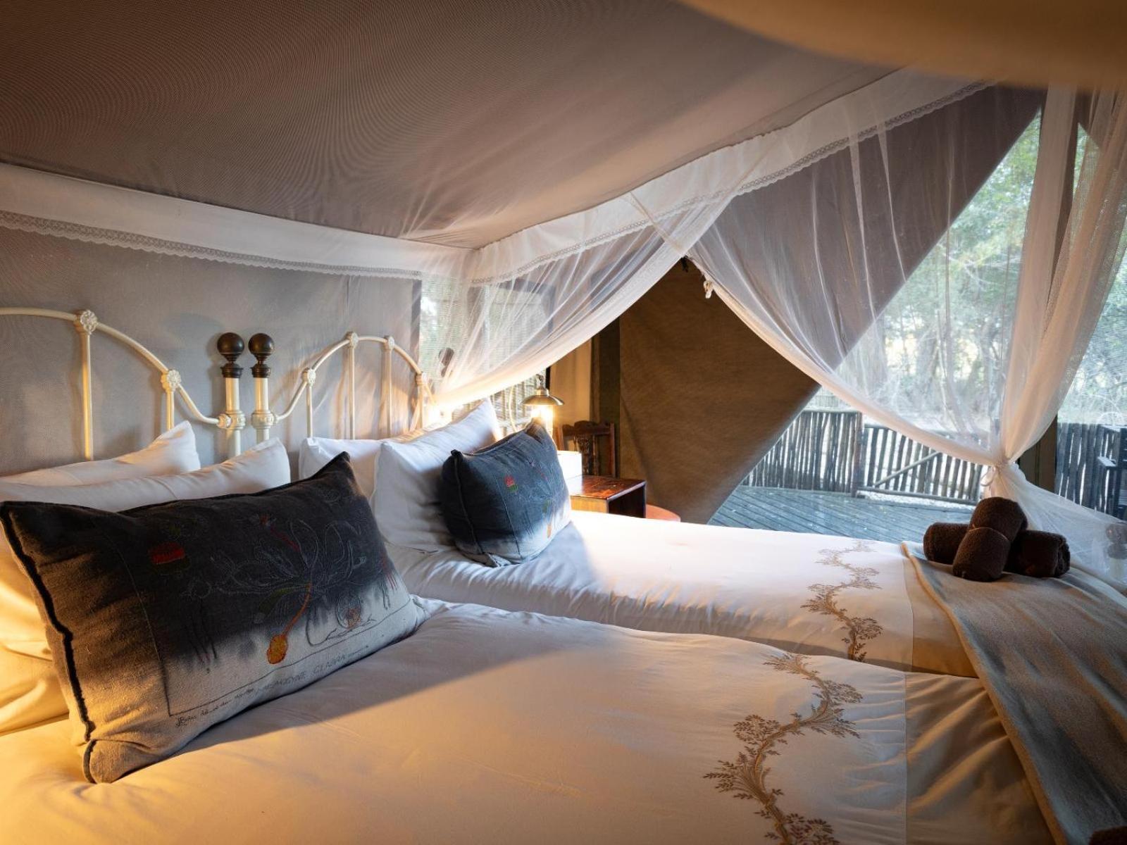 Kwambili Game Lodge Καταφύγιο Άγριας Ζωής Thornybush Δωμάτιο φωτογραφία